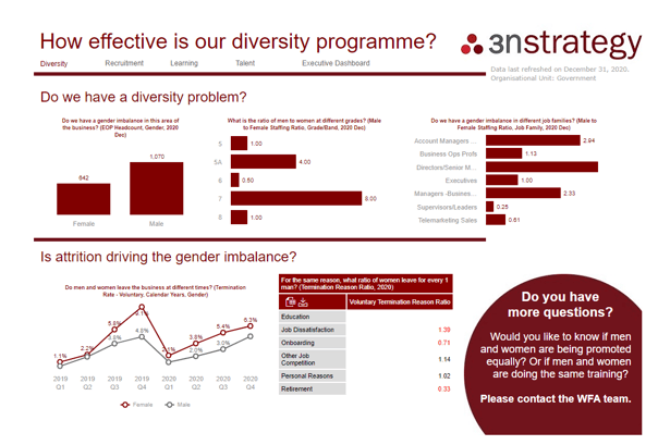 SuccessFactors Workforce Analytics HR Dashboard 3n Strategy